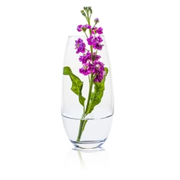 Váza AMBIENTE 12x25 cm