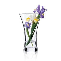 Váza AMBIENTE 15,1x25 cm