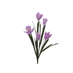 Virág Crocus 50 cm