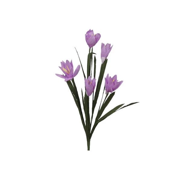 Virág Crocus 50 cm