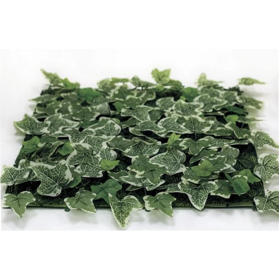 Zöldfal Borostyánnal 50x50 cm