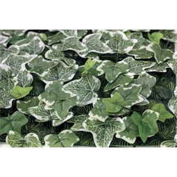 Zöldfal Borostyánnal 50x50 cm