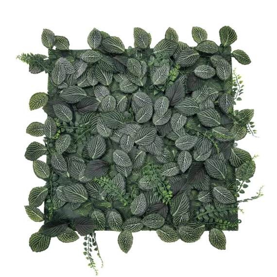 Zöldfal Fittonia levelekkel 50x50 cm