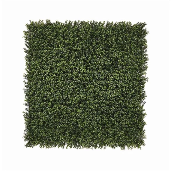 Zöldfal buxus levelekkel 1x1 m