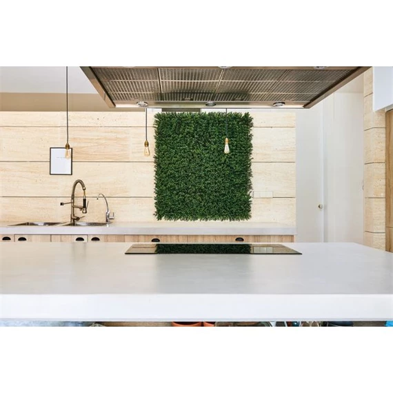 Zöldfal buxus levelekkel 1x1 m