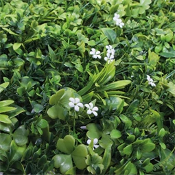 Zöldfal jázmin levelekkel 1x1 m