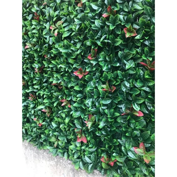 Zöldfal vörös babérlevelekkel 1x1 m