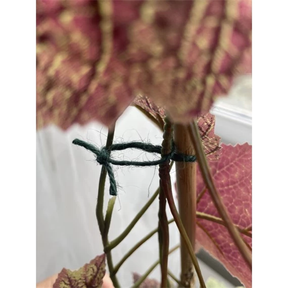 Zsineg, természetes 50 m